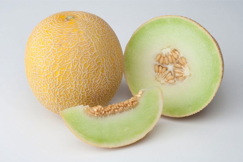 Melon-galia2-ombncp4o9ypflbaaxbz0usehizxxtfln6q4ch1owlc